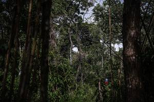 BIB: 
                            <button type="button" onclick="openModal(22241996)" class="btn btn-primary btn-sm float-right btn-popup" data-toggle="modal" data-target=".modal-high-quality">
                        <i class="fas fa-shopping-cart"></i> Add to Cart
                    </button>
                                            <button type="button" onclick="isThisMe(22241996, true)" class="btn btn-success btn-sm float-right btn-popup btn-isme hidden" data-toggle="tooltip" data-placement="bottom" title="นี่คือรูปของคุณใช่ไหม คลิกที่นี่เพื่อเอาเข้าอัลบั้ม">
                        <i class="fas fa-plus"></i> Add to album
                    </button>
                    <button type="button" onclick="isThisMe(22241996, false)" class="btn btn-warning btn-sm float-right btn-popup btn-isnotme hidden">
                        <i class="fas fa-ban"></i> Remove from album
                    </button>